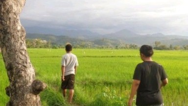 menikmati pemandangan sawah bareng ayang